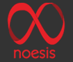 Noesis logo