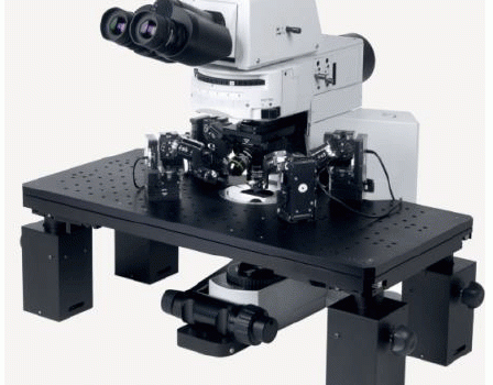 Prior Z Deck Motorized Platforms and Micromanipulators for Electrophysiology Applications