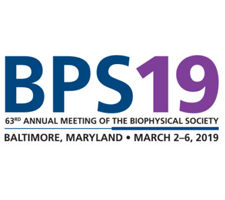 63rd Annual Meeting of the Biophysical Society