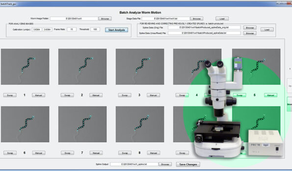 Tracking worm movements using Prior Scientific's OptiScan Motorized Stage System
