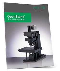 OpenStand Brochure