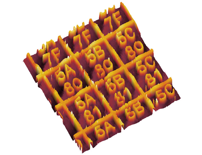 Atomic Force Microscopy