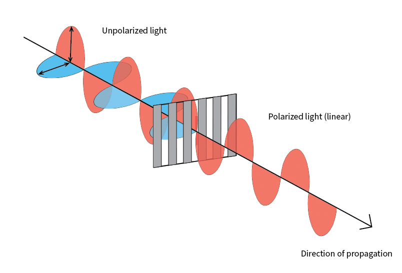 Diagram showing linear polarization of light using a filter.
